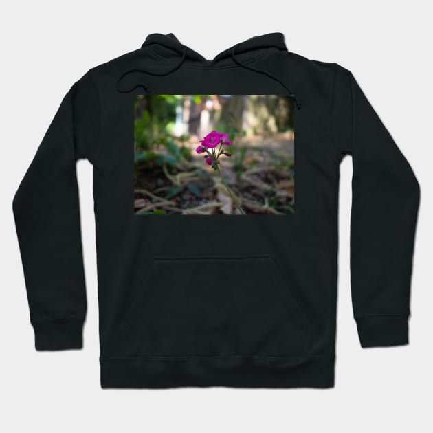 What does a primrose symbolize? Hoodie by fantastic-designs